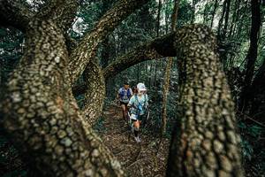 BIB: 
                            <button type="button" onclick="openModal(25392809)" class="btn btn-primary btn-sm float-right btn-popup" data-toggle="modal" data-target=".modal-high-quality">
                        <i class="fas fa-shopping-cart"></i> Add to Cart
                    </button>
                                            <button type="button" onclick="isThisMe(25392809, true)" class="btn btn-success btn-sm float-right btn-popup btn-isme hidden" data-toggle="tooltip" data-placement="bottom" title="นี่คือรูปของคุณใช่ไหม คลิกที่นี่เพื่อเอาเข้าอัลบั้ม">
                        <i class="fas fa-plus"></i> Add to album
                    </button>
                    <button type="button" onclick="isThisMe(25392809, false)" class="btn btn-warning btn-sm float-right btn-popup btn-isnotme hidden">
                        <i class="fas fa-ban"></i> Remove from album
                    </button>